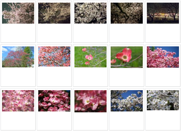 写真素材足成の　花・植物写真