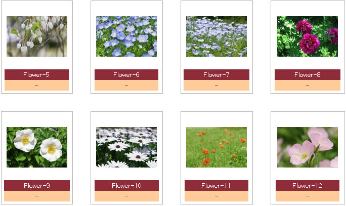 フリー写真素材ハンディフォトグラフ　花/flower page写真