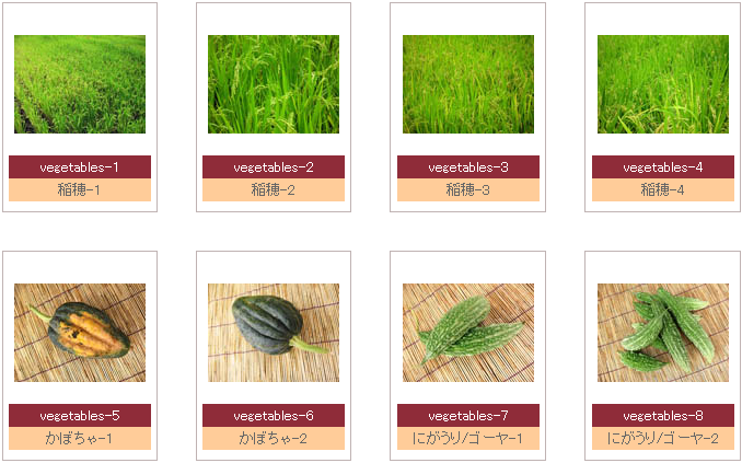 フリー写真素材ハンディフォトグラフ　野菜/vegetables page写真