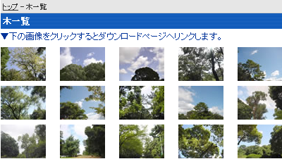 フリーストックフォト｜Free-Stockphoto　木のフリー写真素材