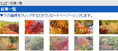 フリーストックフォト｜Free-Stockphoto　紅葉のフリー写真素材