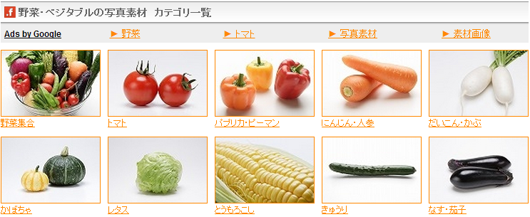food.foto 野菜・ベジタブル写真素材
