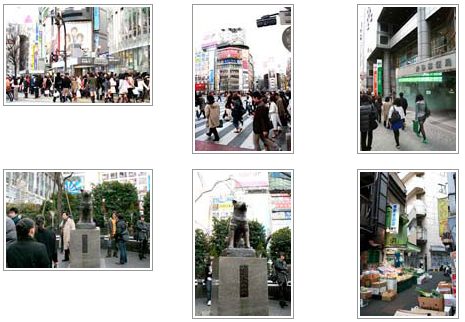 無料写真素材 東京デート　東京街写真